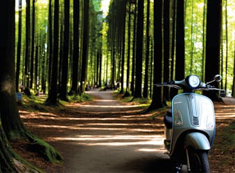 E-Vespa tour with truffle hunt and dinner in Chianti countryside